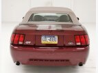 Thumbnail Photo 7 for 2004 Ford Mustang GT Convertible